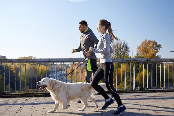 Want to Work Out With Your Dog? Try These Exercises