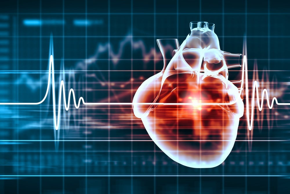 Heart Rate Variations Explained