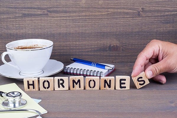 What are the Best Hormone Balancing Foods? Tips for Getting Started