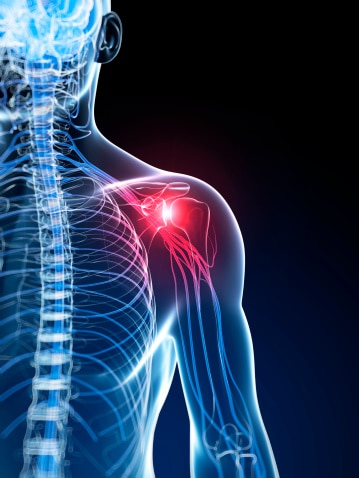 What is the Rotator Cuff in the shoulder?