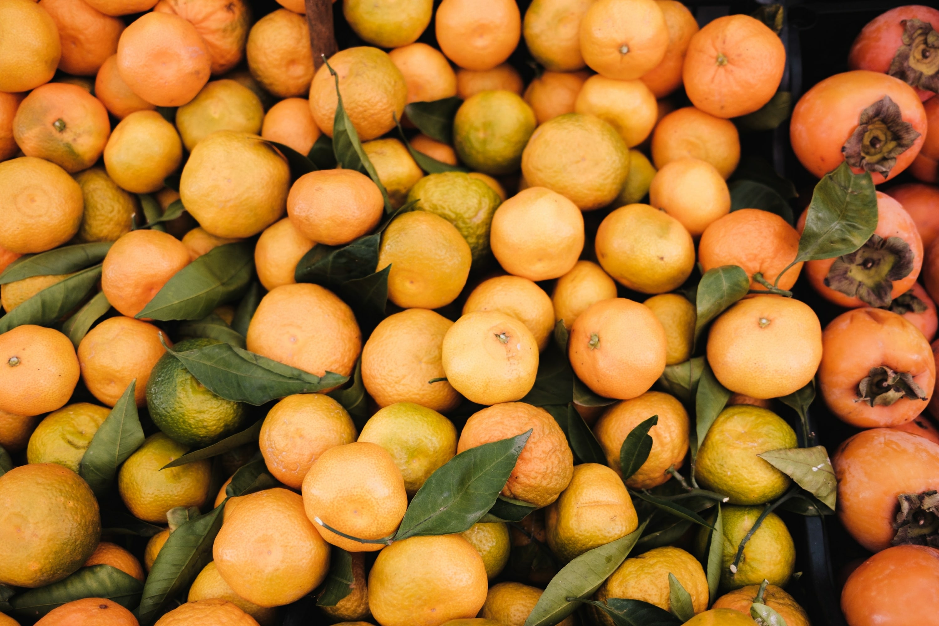 pile of oranges