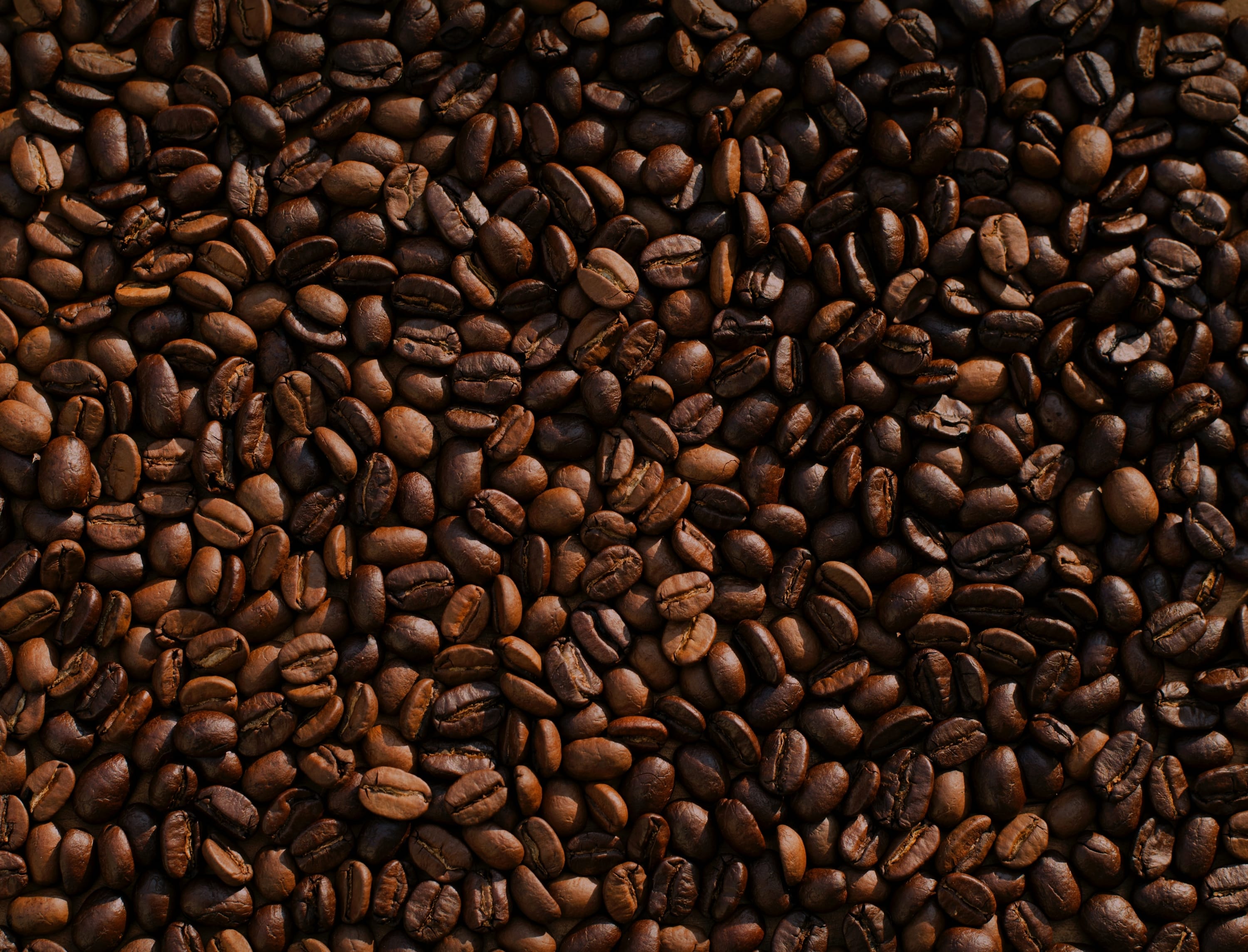 Debunking Common Caffeine Myths 